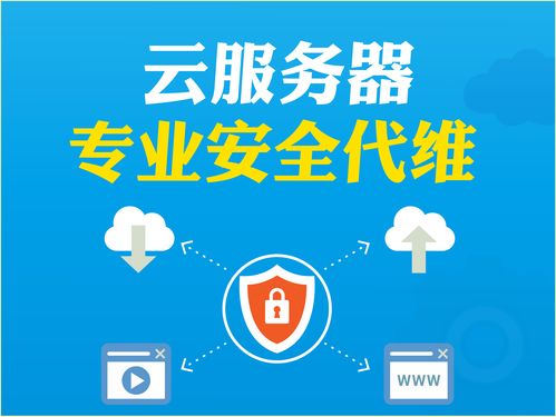 阿里云云市場 云服務器代維與數字文化創意內容應用服務